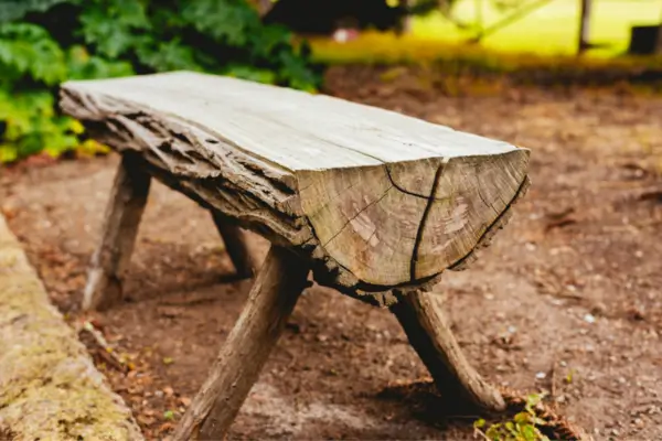 Natureza Sob os Pés: A Beleza dos Bancos de Tronco na Decoração Residencial