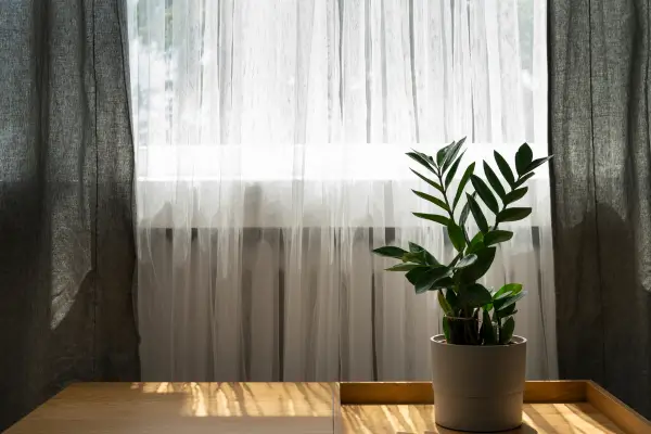 Cortinas Romanas Simples para uma Casa Minimalista e Acolhedora