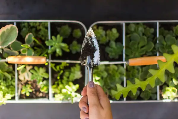 Elegância Verde: Jardins Verticais para Transformar o Interior da Sua Residência com Design Sereno