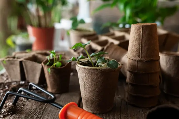 Vasos de Madeira Reciclada: Estilo e Sustentabilidade para um Espaço Contemporâneo e Limpo