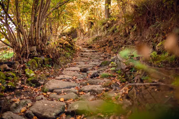 Caminhos de Pedras: Visual Contemporâneo e Discreto para Trilhas e Caminhadas no Jardim