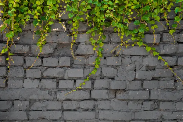 Minimalismo em Relevo: Paredes com Textura em Jardins Modernos